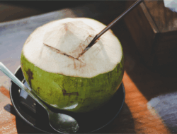 Air Kelapa Tingkatkan Air Ketuban, Amankah untuk Ibu Hamil?