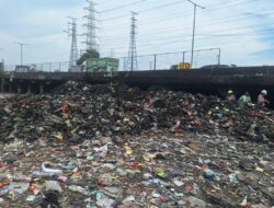 Gunungan Sampah Kolong Tol JIS: Baunya Menyengat, Kambing Terpaksa Makan Plastik