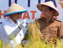 IPHA: Jurus Pemerintah Kejar Swasembada Pangan Nasional