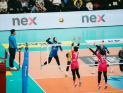Jakarta PLN Rekrut Bintang Voli AS, Siap Hadapi Final Four Proliga
