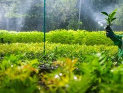 Jejak Hijau Vale Indonesia: Komitmen Lestari untuk Masa Depan Bumi