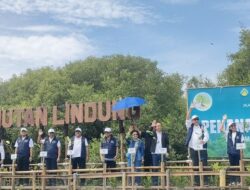 Megawati, Pramono, dan CT Arsa Tanam Mangrove Lestarikan Bumi