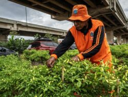 Pemprov DKI Jakarta Buka Rekrutmen Besar-besaran Petugas PPSU