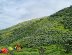 Pendaki Tak Sopan Injak-injak Situs Keramat Watu Kenteng Merbabu