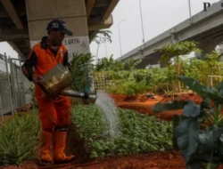 Rekrutmen PPSU 2025: Syarat, Tugas, dan Cara Daftar Lengkap