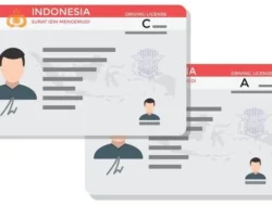 SIM Mati? Tenang, Perpanjang Tanpa Bikin Baru, Mudah Banget!