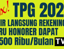 Sertifikasi Guru Triwulan I 2025 Segera Cair: Info Terbaru dan Cara Percepat Pencairannya