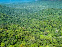 Strategi Cerdas Vale Kelola Air, Limbah, dan Masa Depan Pertambangan