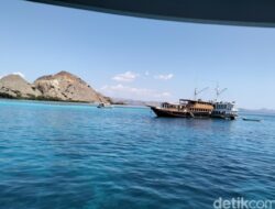 Tarif Mancing Komodo Meroket, Industri Sport Fishing Terpuruk