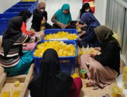 UMKM NanasQu Raih Sukses, Produk Tembus Pasar Internasional