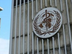WHO Waspadai Ancaman Lonjakan Kasus Demam Berdarah di Myanmar